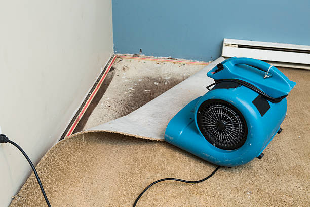 Best Commercial water damage restoration  in Terrytown, LA